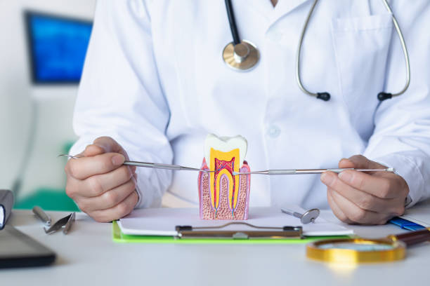 Best Broken or Cracked Tooth Emergency Dentist in Breckenridge, MI